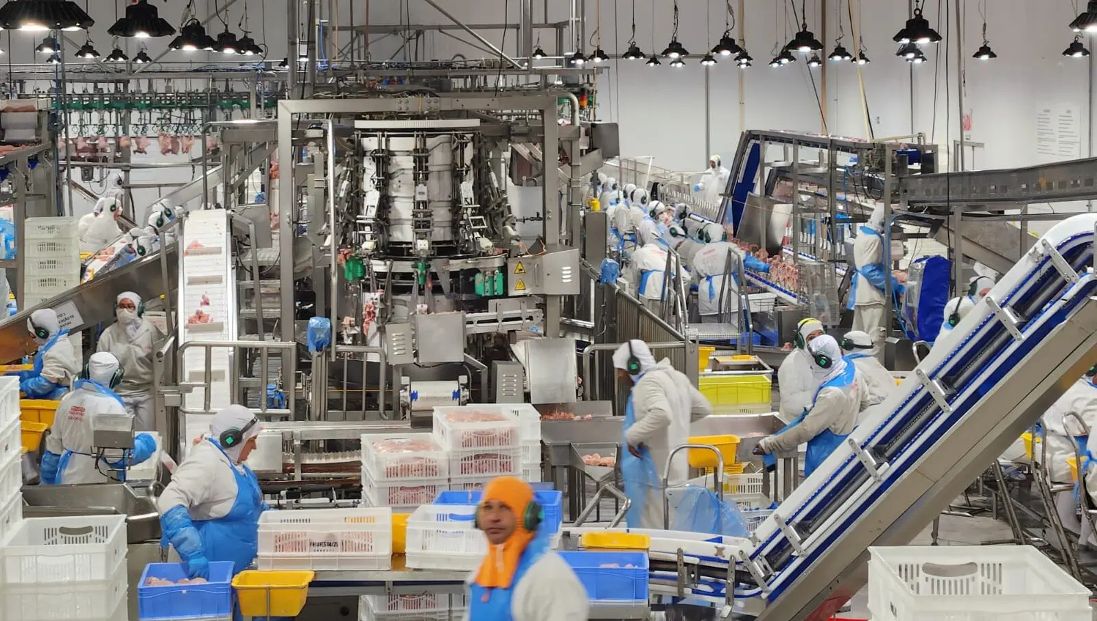 Cooperativa emprega centenas de imigrantes.