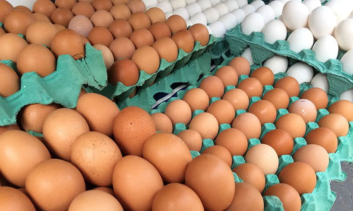 O Brasil exportou 5.358 toneladas de ovos em maio. Alta de 295,8% em relação a maio de 2024.