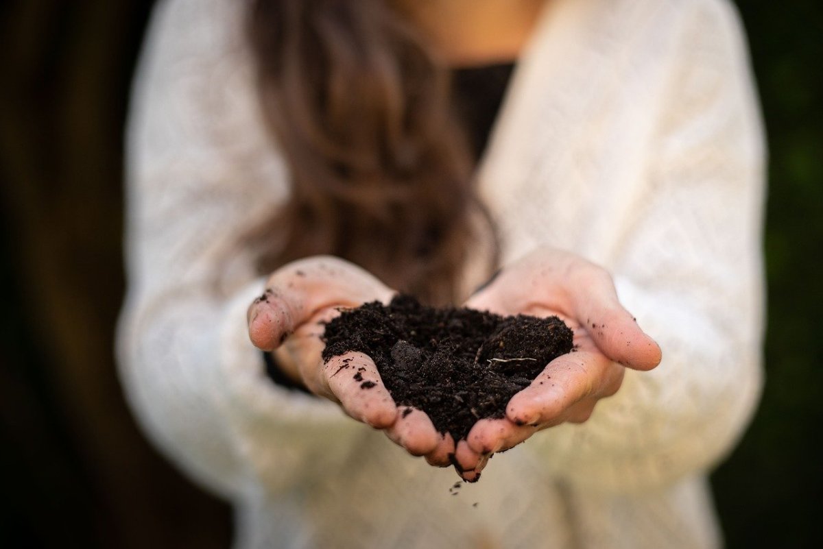 Vuelo Pharma reduziu descarte de resíduos.