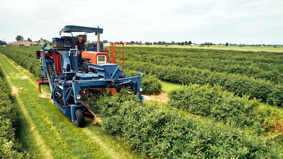 Produtor rural com acesso ao PRONAF, PRONAMP e BNDES Rural investe em tecnologia e sustentabilidade no campo. Saiba como conquistar seu financiamento agrícola e transformar sua produção