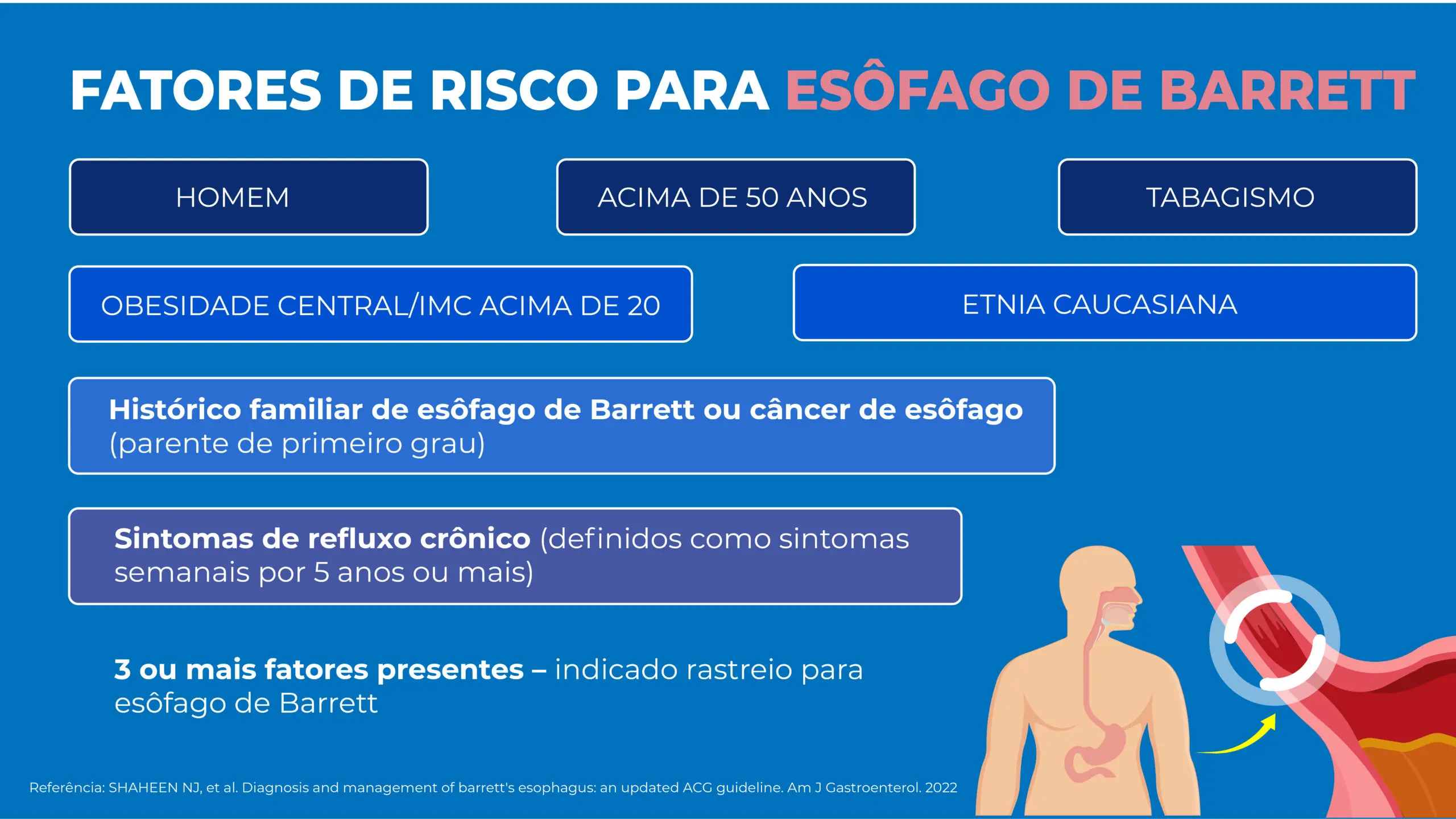 Fatores de risco para esôfago de Barrett