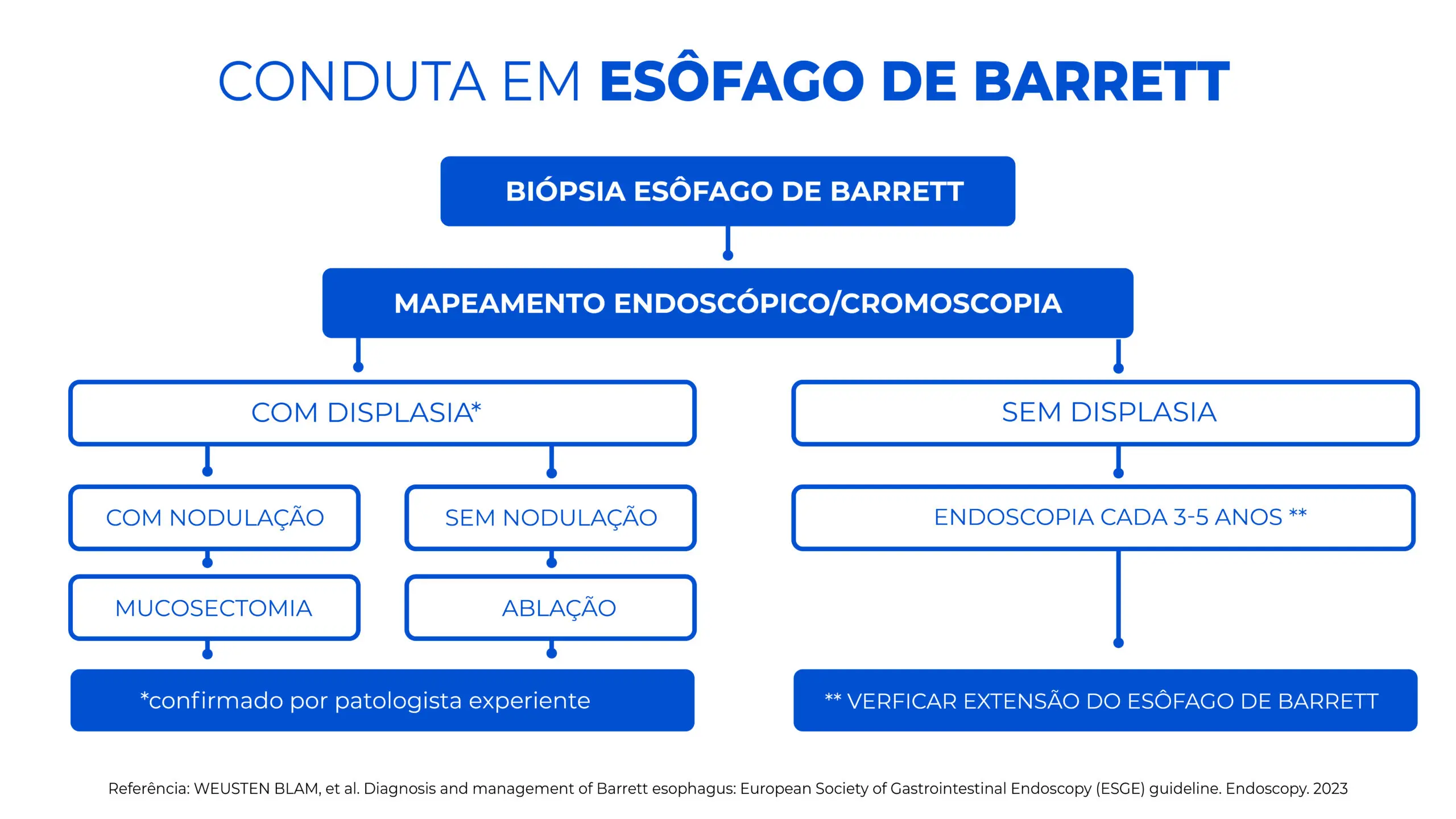 conduta em esôfago de Barrett