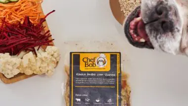Chef Bob