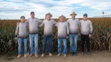 Apenas 5% das famílias conseguem fazer a sucessão no campo, em todo o território nacional. A família Salvalaggio, em Campo Alegre de Goiás, mostra que a transição é possível.