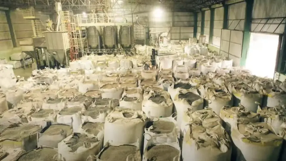 Paraná lidera produção de feijão, com estimativa de 570,3 mil toneladas em 2025 e começa a expandir exportação do produto.