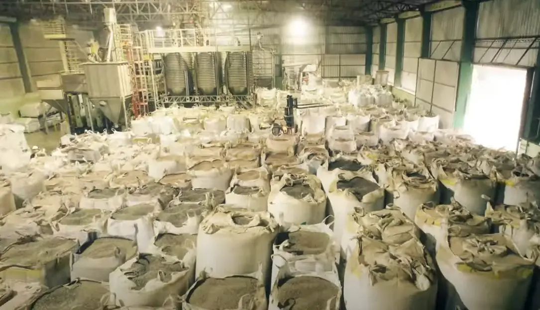 Paraná lidera produção de feijão, com estimativa de 570,3 mil toneladas em 2025 e começa a expandir exportação do produto.