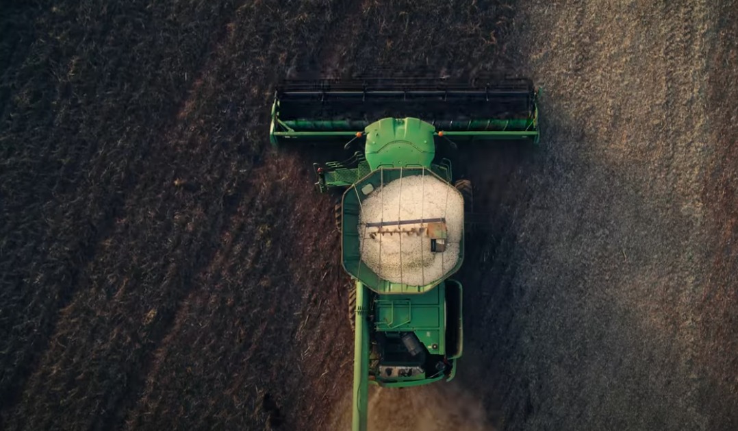 Cooperativismo acelera exportações de feijão no Paraná. Em 2024 foram mais de 70 mil toneladas embarcadas.