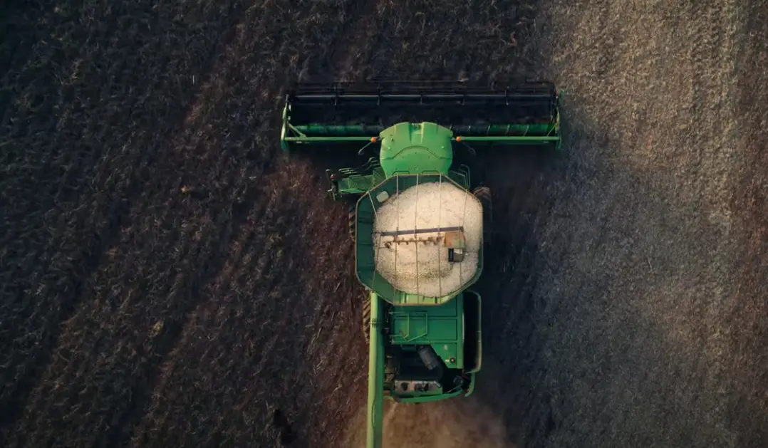 Cooperativismo acelera exportações de feijão no Paraná. Em 2024 foram mais de 70 mil toneladas embarcadas.