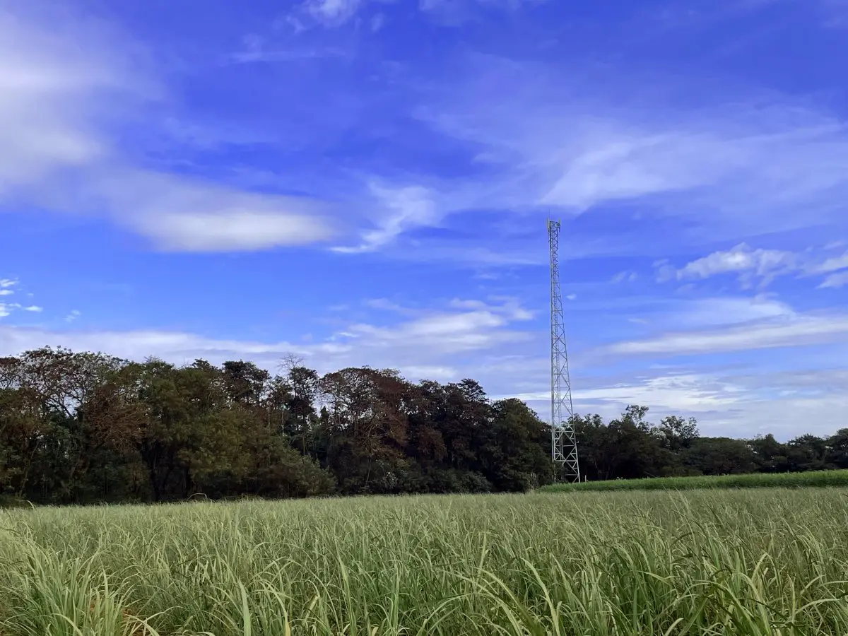 TIM Usina Santa Terezinha