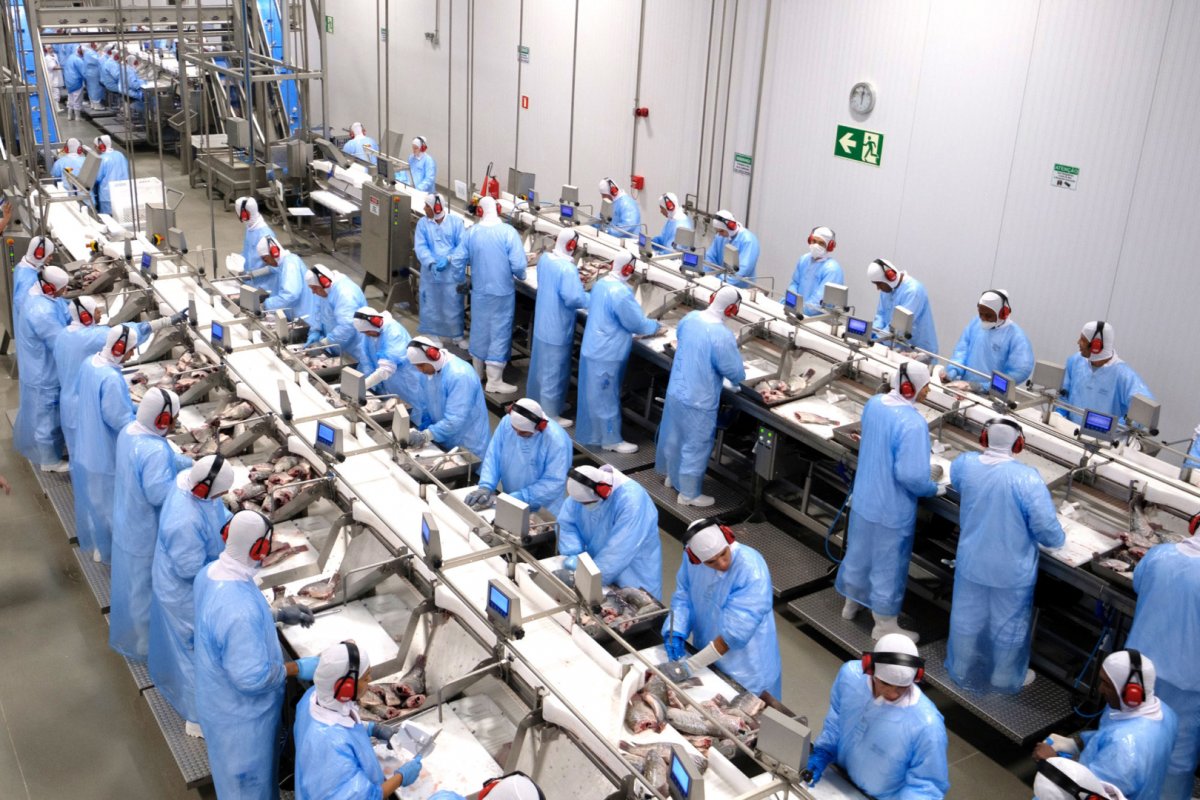 Seara JBS, Coasul, C.Vale, Pluma Agroavícola e Geloni entraram no protocolo de intenções do Paraná Competitivo.