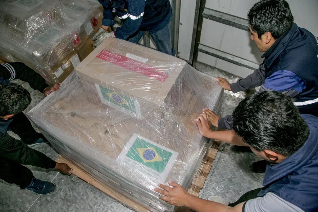 surto de sarampo bolívia: vacinas em corumbá