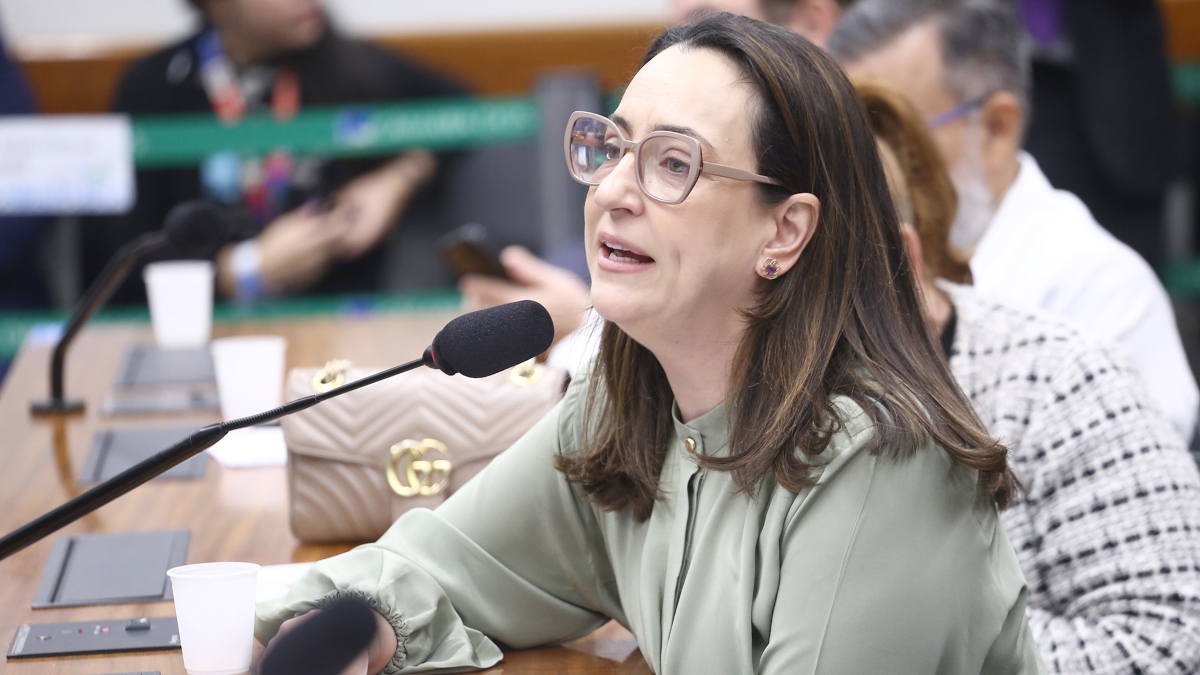 Deputada Rosângela Moro diz que governo usurpa poderes do Legislativo em pontos do decreto.
