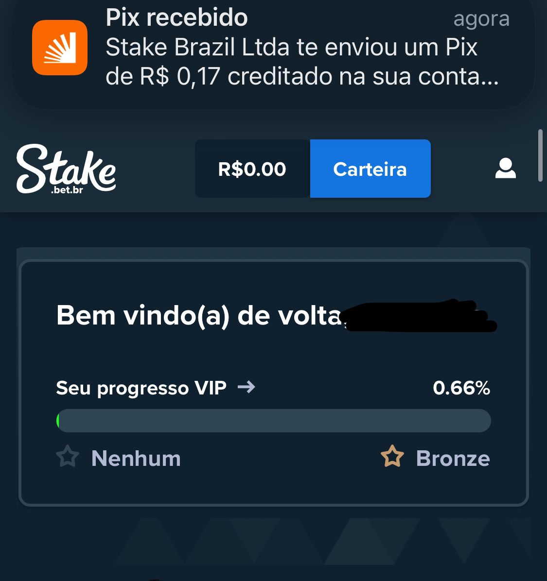 stake paga mesmo