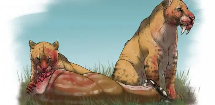 Tigres-dente-de-sabre do gênero Smilodon devorando suas presas. A perda de diversidade ocorreu devido à redução de herbívoros para caçar, o que levou à extinção