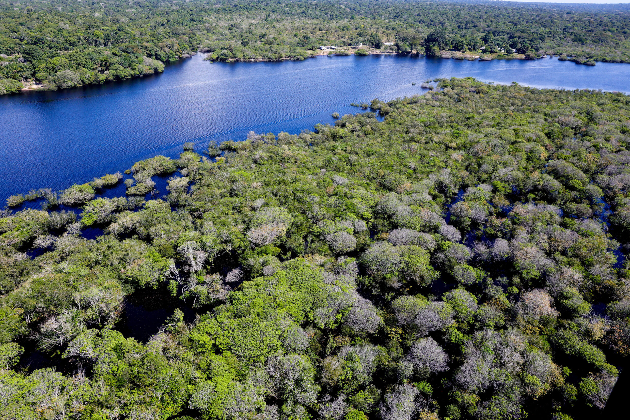 Vista da Floresta Amazônica: alegações do governo americano sobre desmatamento ilegal no Brasil são similares às feitas por países europeus que se valem do &#8220;protecionismo ambiental&#8221;.