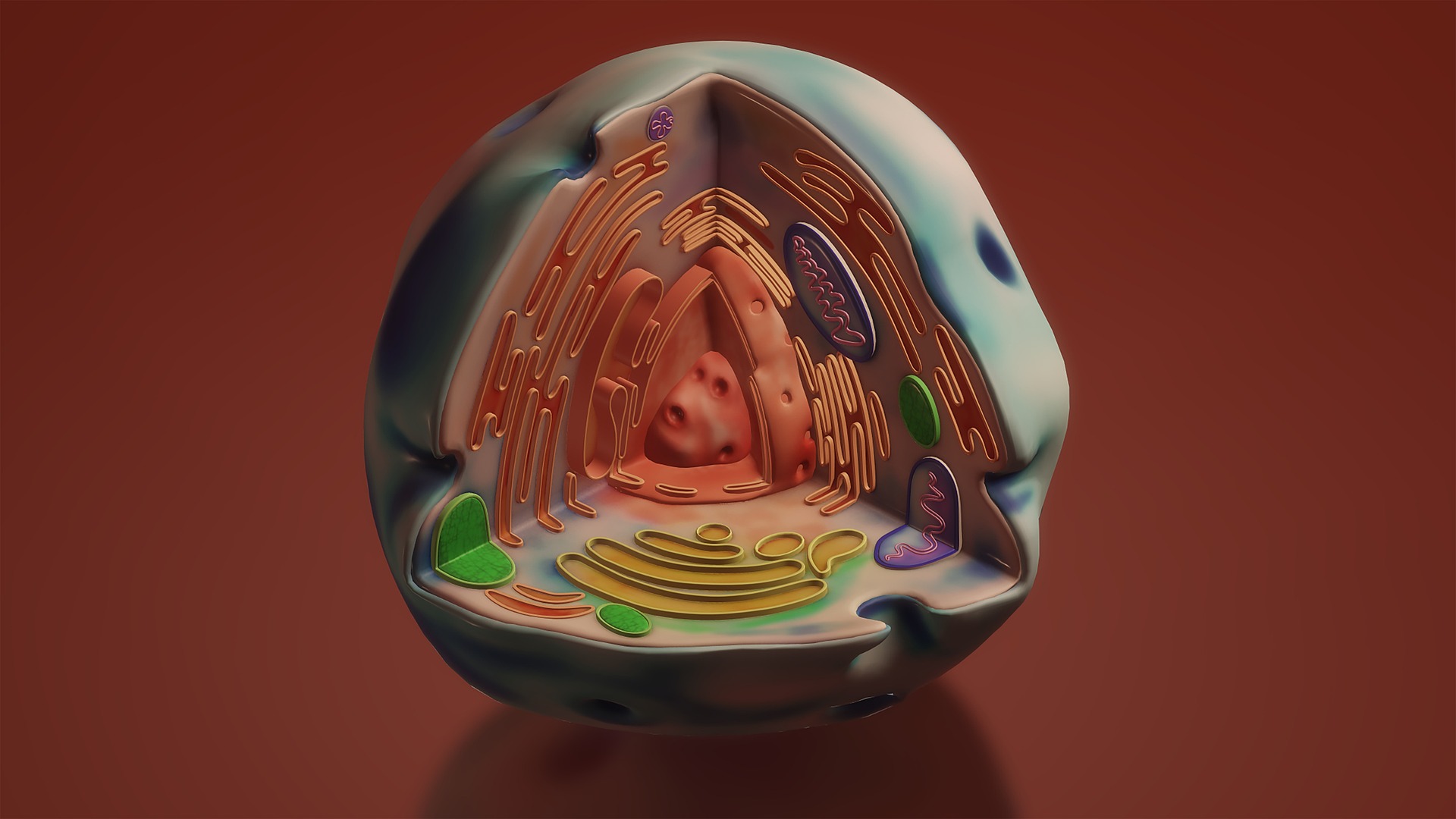 O transplante de mitocôndrias, as &#8220;usinas de energia&#8221; de nossas células, é uma terapia emergente que visa revitalizar tecidos danificados ou envelhecidos por meio da introdução de mitocôndrias saudáveis