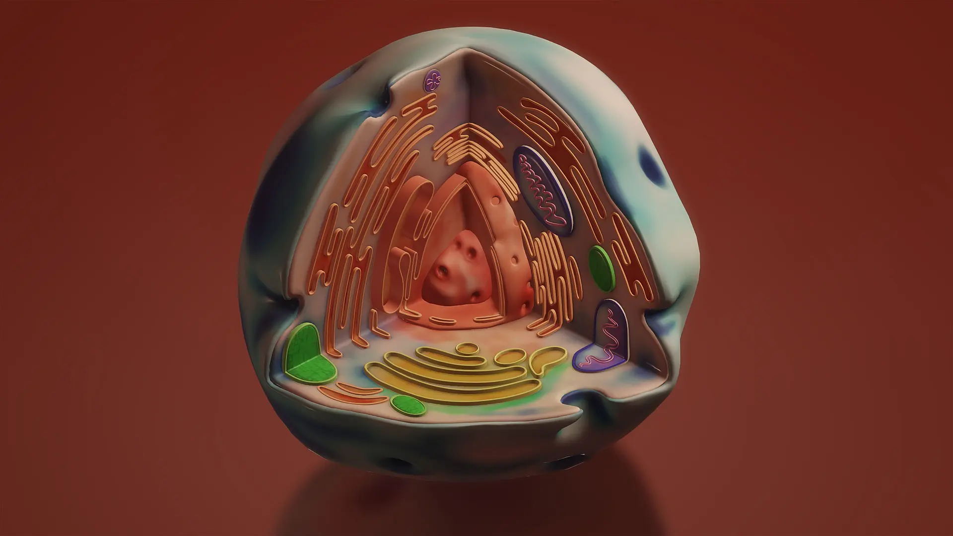 O transplante de mitocôndrias, as "usinas de energia" de nossas células, é uma terapia emergente que visa revitalizar tecidos danificados ou envelhecidos por meio da introdução de mitocôndrias saudáveis