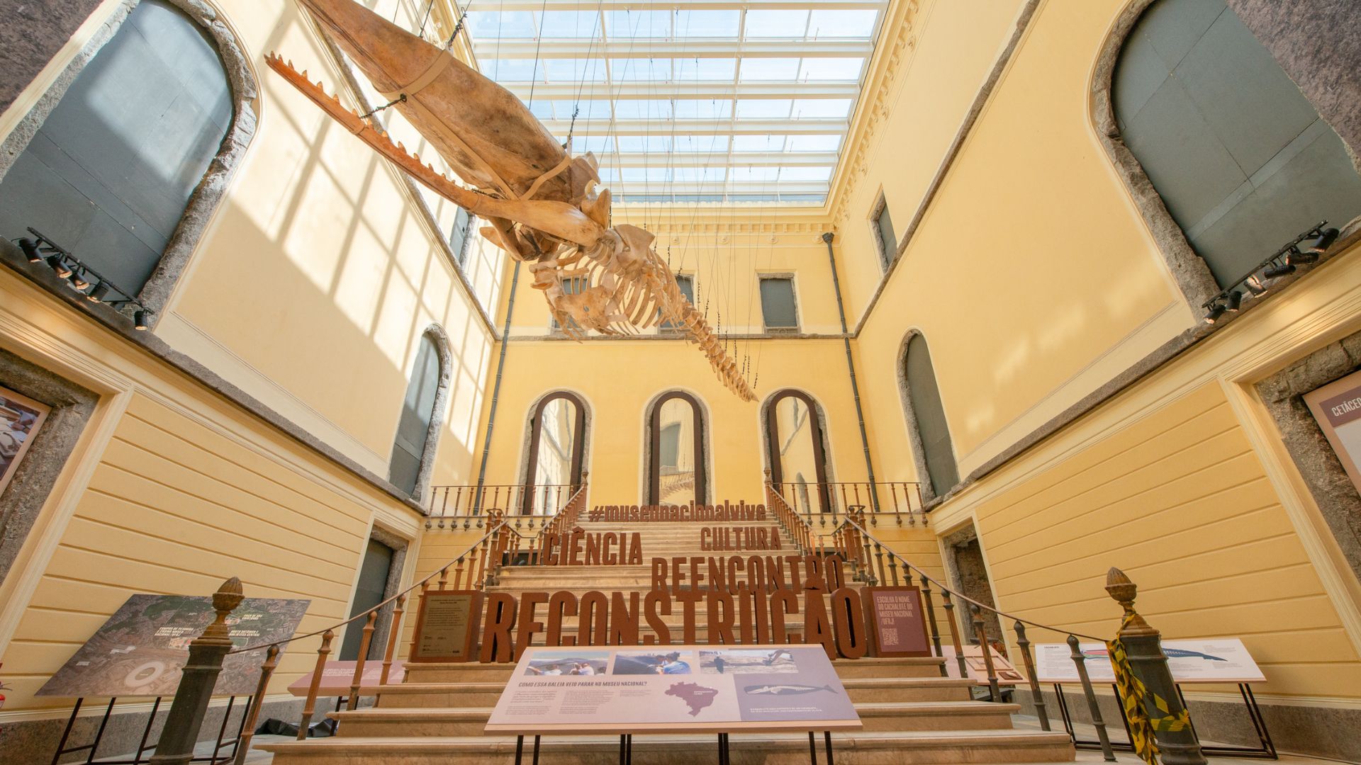 Em primeiro evento após incêndio, o Museu Nacional expõe o esqueleto de um cachalote.