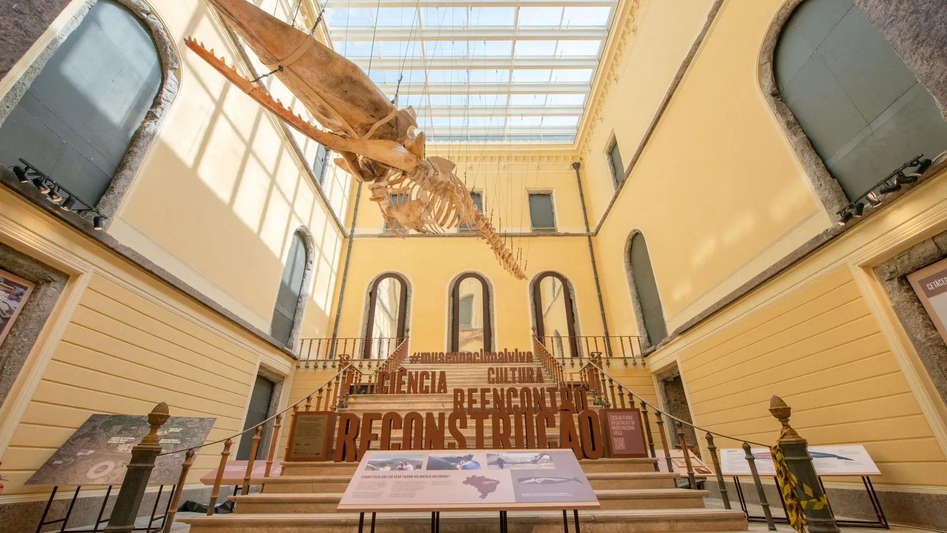 Em primeiro evento após incêndio, o Museu Nacional expõe o esqueleto de um cachalote