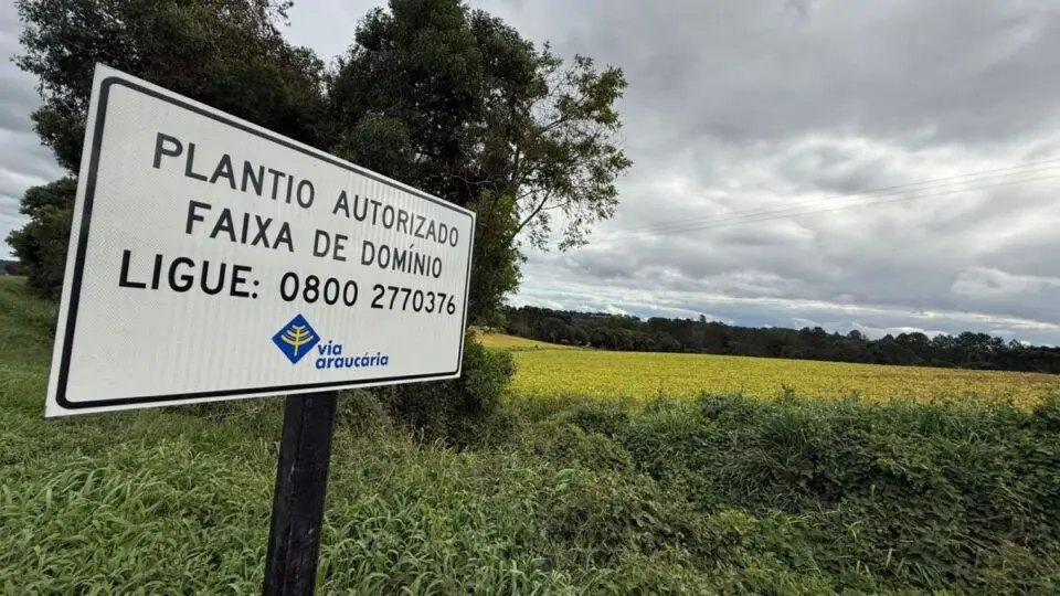 Via Araucária