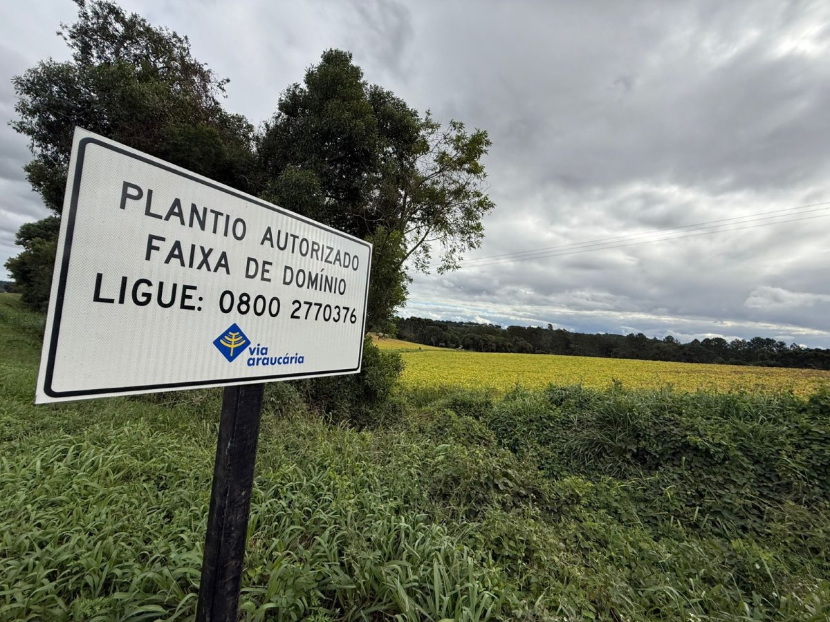 Via Araucária regulariza plantio em faixa de domínio de rodovia no PR