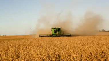 Safra recorde de soja contribui para aumento do PIB nos segmentos de insumos, agrosserviços e agroindústria, incluindo produção de biodiesel