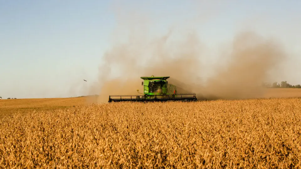 Safra recorde de soja contribui para aumento do PIB nos segmentos de insumos, agrosserviços e agroindústria, incluindo produção de biodiesel