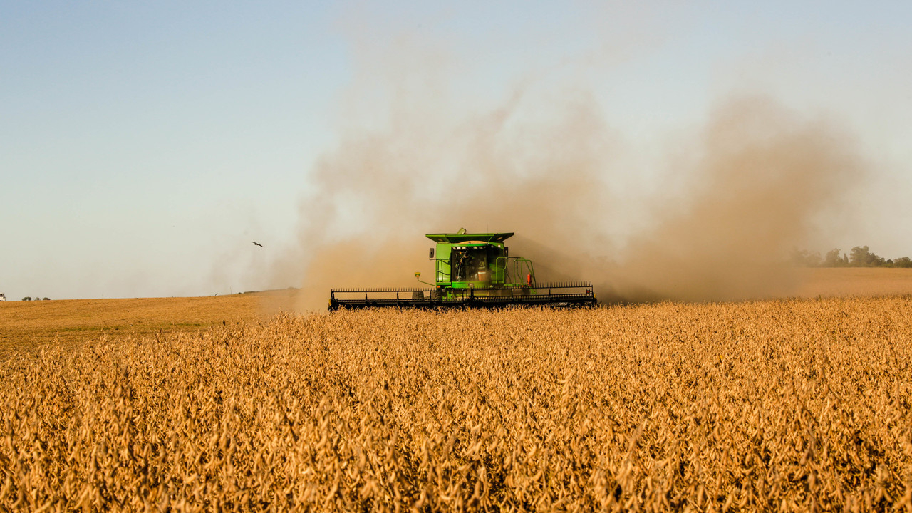 Safra recorde de soja contribui para aumento do PIB nos segmentos de insumos, agrosserviços e agroindústria, incluindo produção de biodiesel.