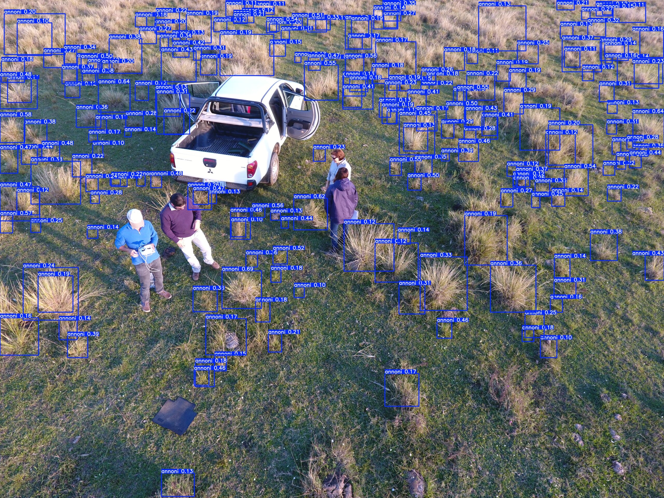 Modelo de IA desenvolvido para agropecuária de precisão identifica a presença de capim-annoni em pastagens. Gramínea é considerada praga em fazendas do Rio Grande do Sul.