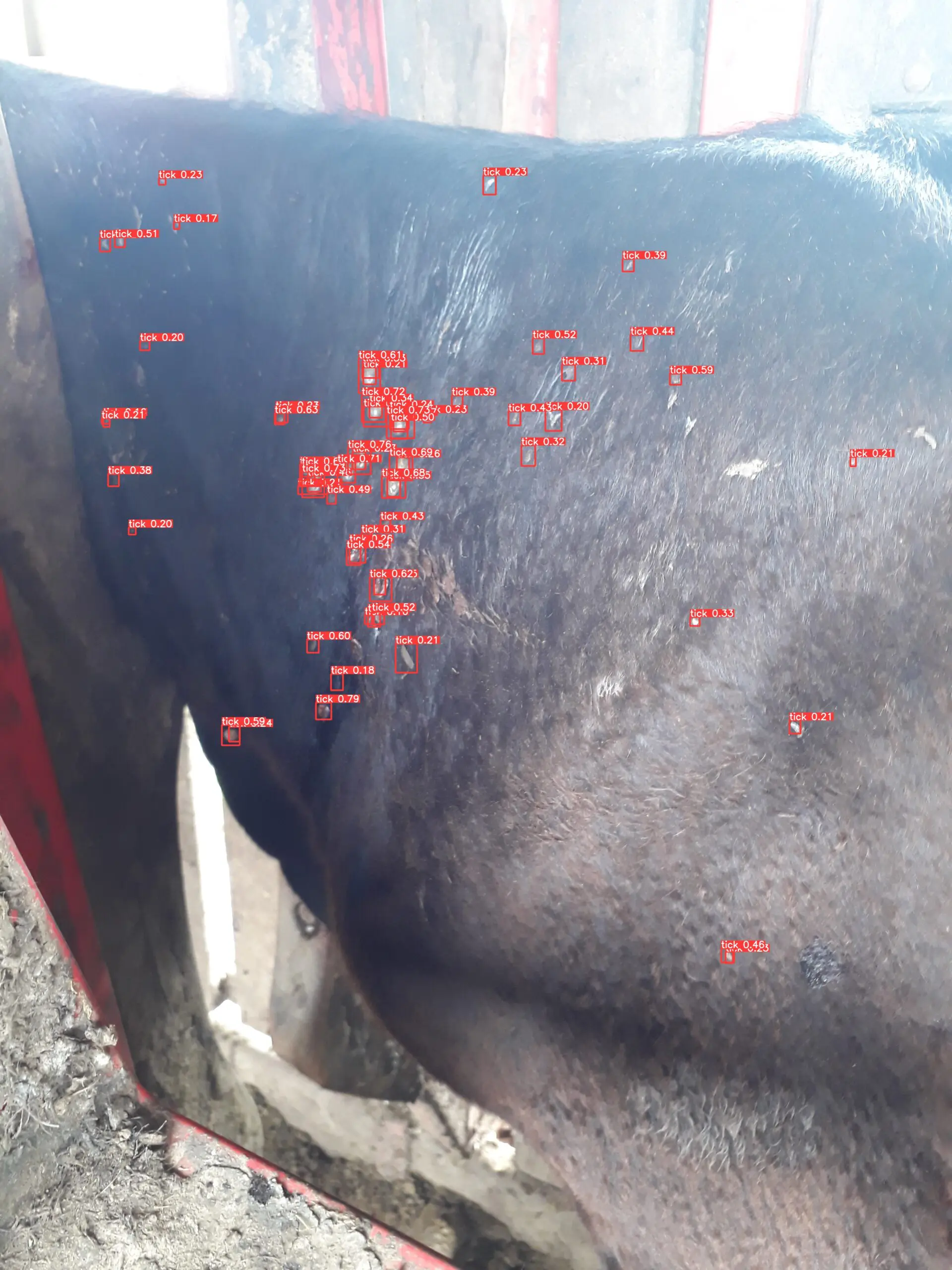 A system developed by researchers from Rio Grande do Sul instantly counts ticks on animals using an AI model aimed at agriculture.