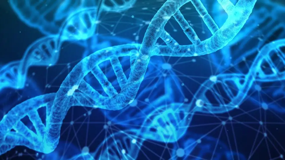 Cientistas japoneses da Mie University alcançaram um enorme avanço na Síndrome de Down ao usar CRISPR-Cas9 para remover o cromossomo 21 extra