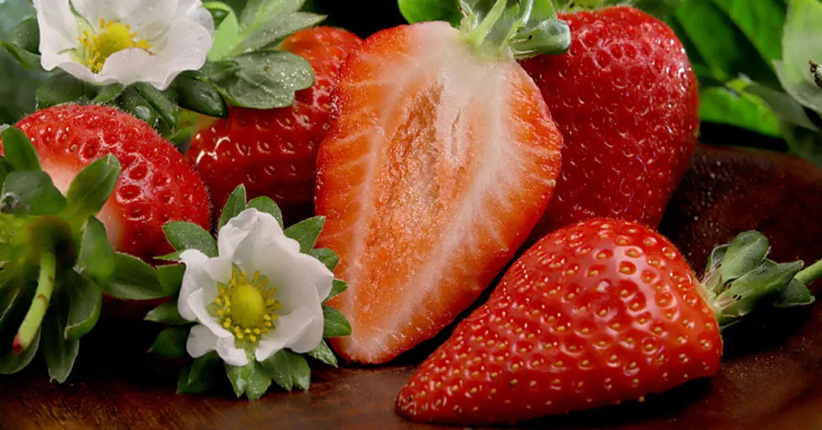 Pouso Alegre deve colher 52 mil toneladas em 2025, segundo a Embrapa.