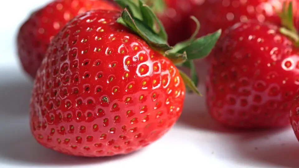 Em São Paulo, preço da fruta subiu 75% em duas semanas em meio à moda do morango do amor