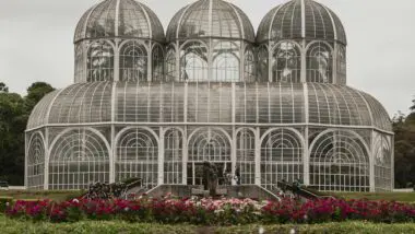 Curitiba, no estado do Paraná.