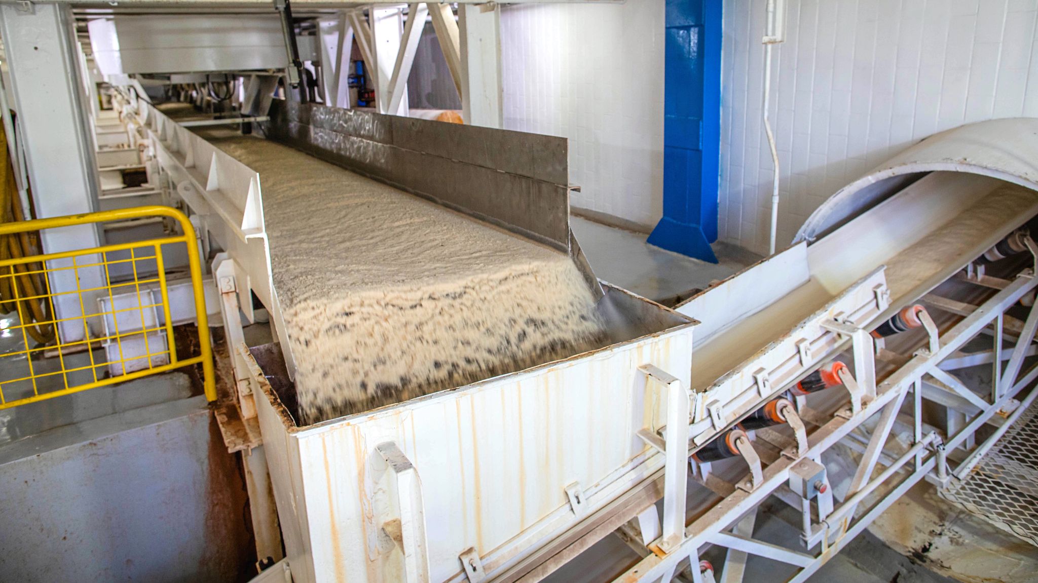 Produção de açúcar orgânico no interior de Goiás: tarifas de Trump podem inibir exportação para os EUA