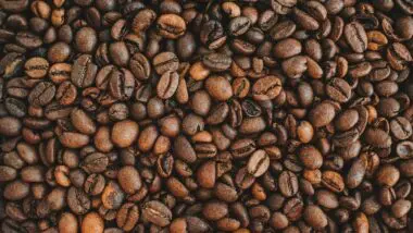 On alert with the proximity of the beginning of the American tariff, Brazilian coffee sector has 183 companies enabled to export grain to China