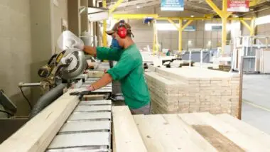 Tarifaço afeta em cheio o setor madeireiro, que tem destaque no estado do Paraná