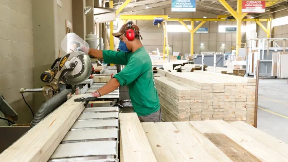 “O setor madeireiro está exposto e não existe plano ‘b’ para as indústrias.”, afirma Paulo Pupo, diretor da Federação das Indústrias do Paraná (Fiep)