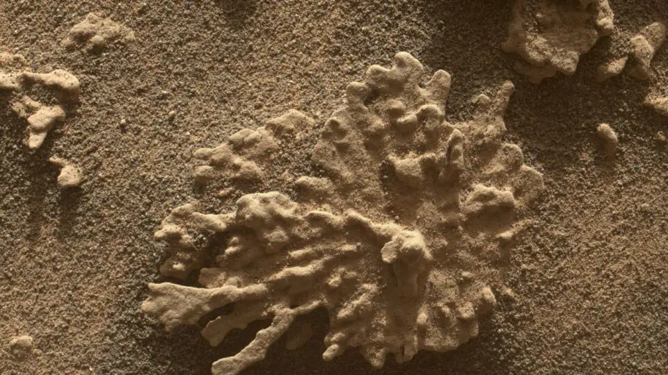 O rover Curiosity, da Nasa, utilizou uma câmera no seu braço robótico para observar esta rocha erodida pelo vento, em forma de coral, em 24 de julho de 2025. Apelidada de "Paposo" pela equipe científica do rover, a rocha estava a cerca de 5 centímetros da câmera quando a imagem foi gravada.