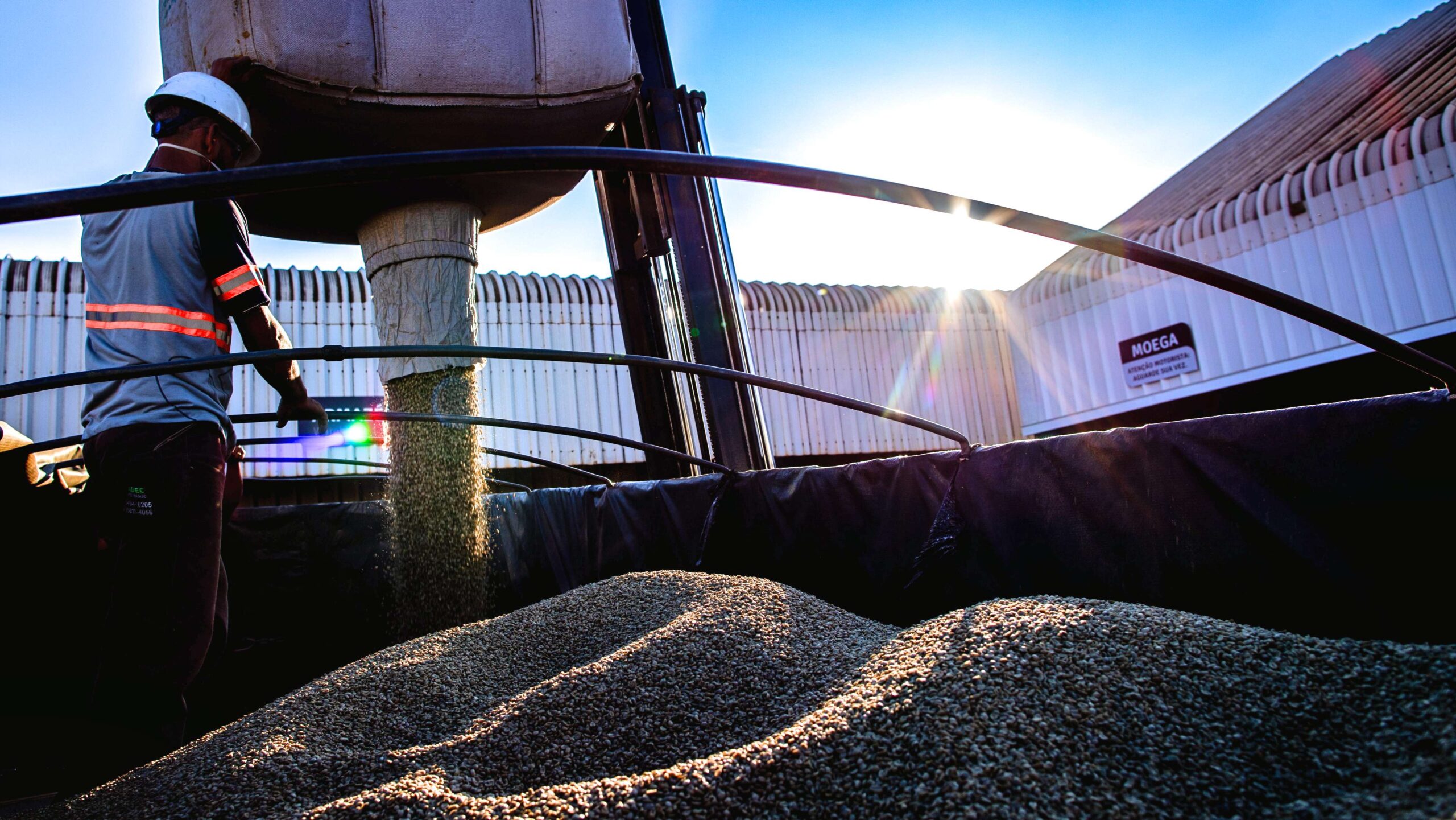 Estoque de café em cooperativa no Norte de MG: produto desperta interesse de países árabes