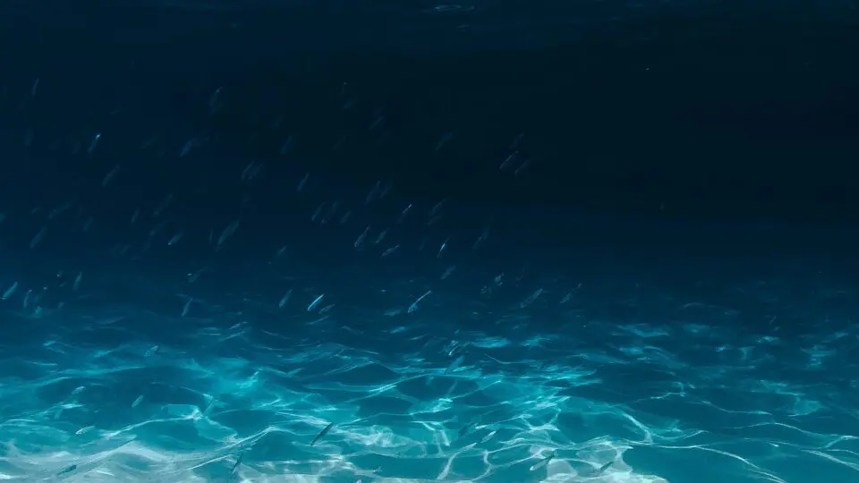 Profundezas do oceano.