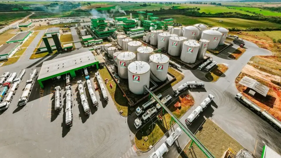 Grupo Potencial Biodiesel