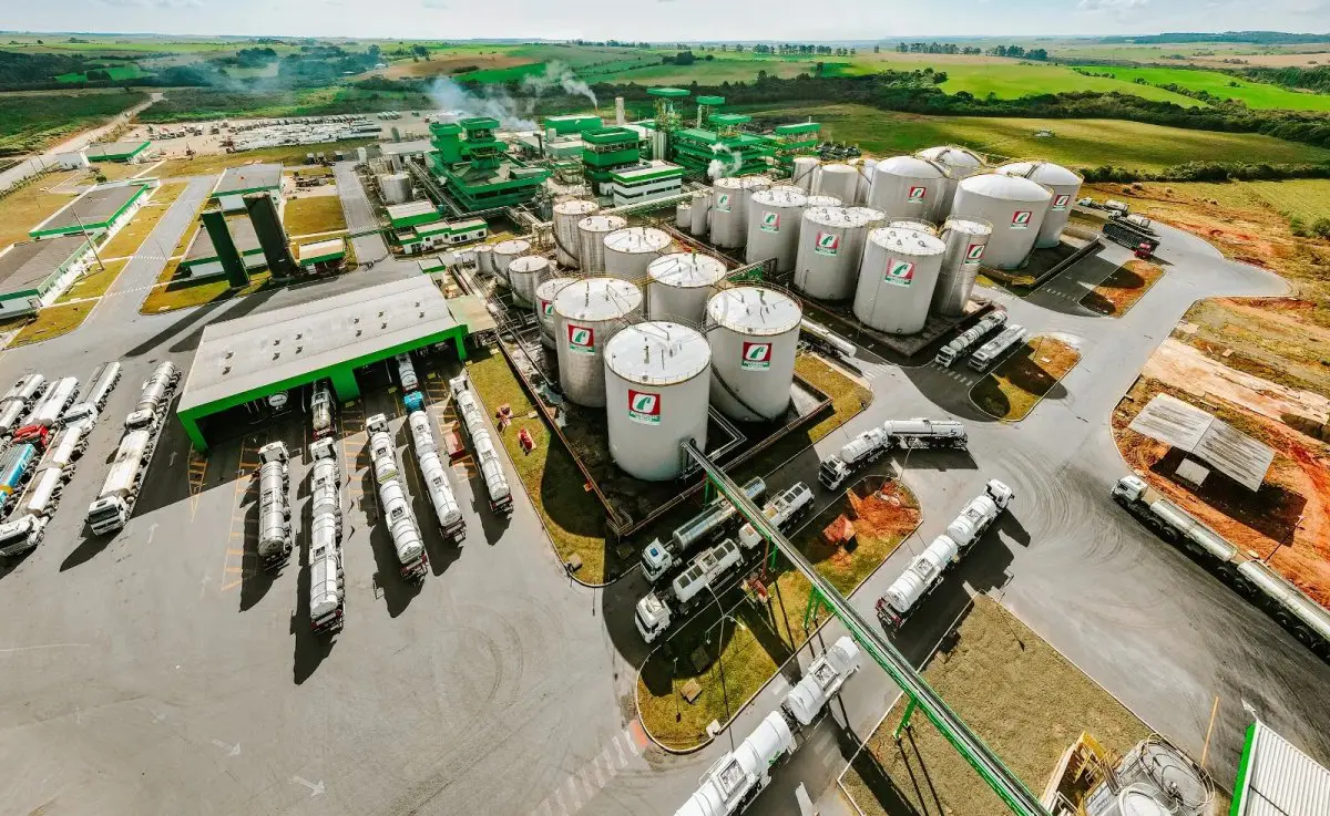 Grupo Potencial Biodiesel