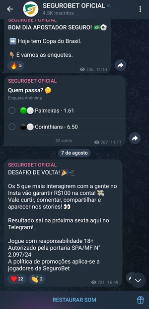 Canal do Telegram da Segurobet
