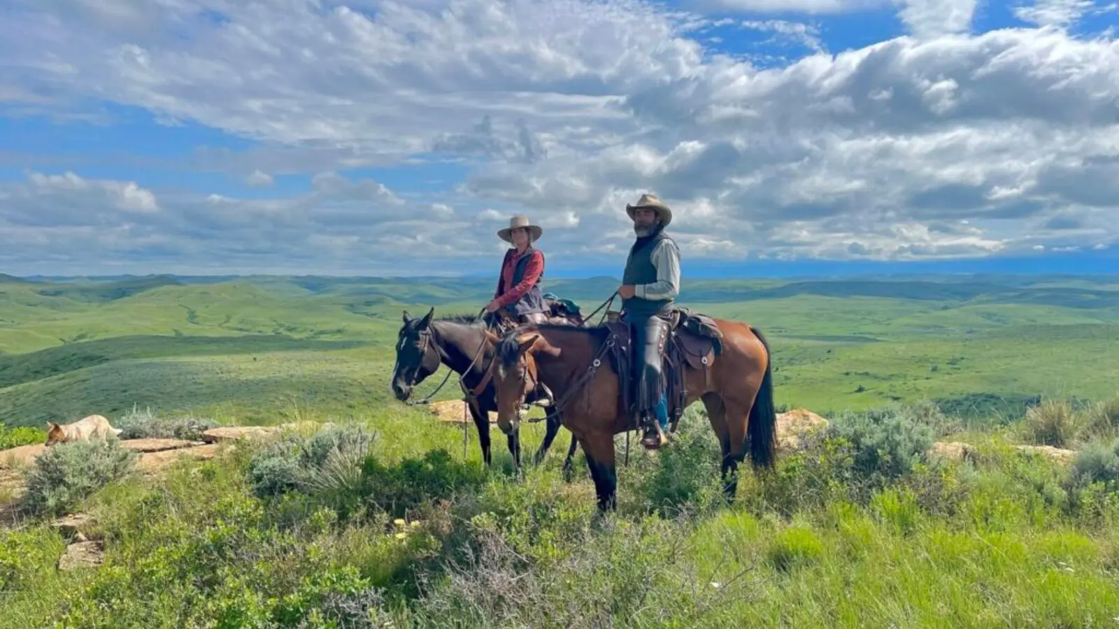 Dewayne e Deanna Noel: vida em meio aos cavalos.