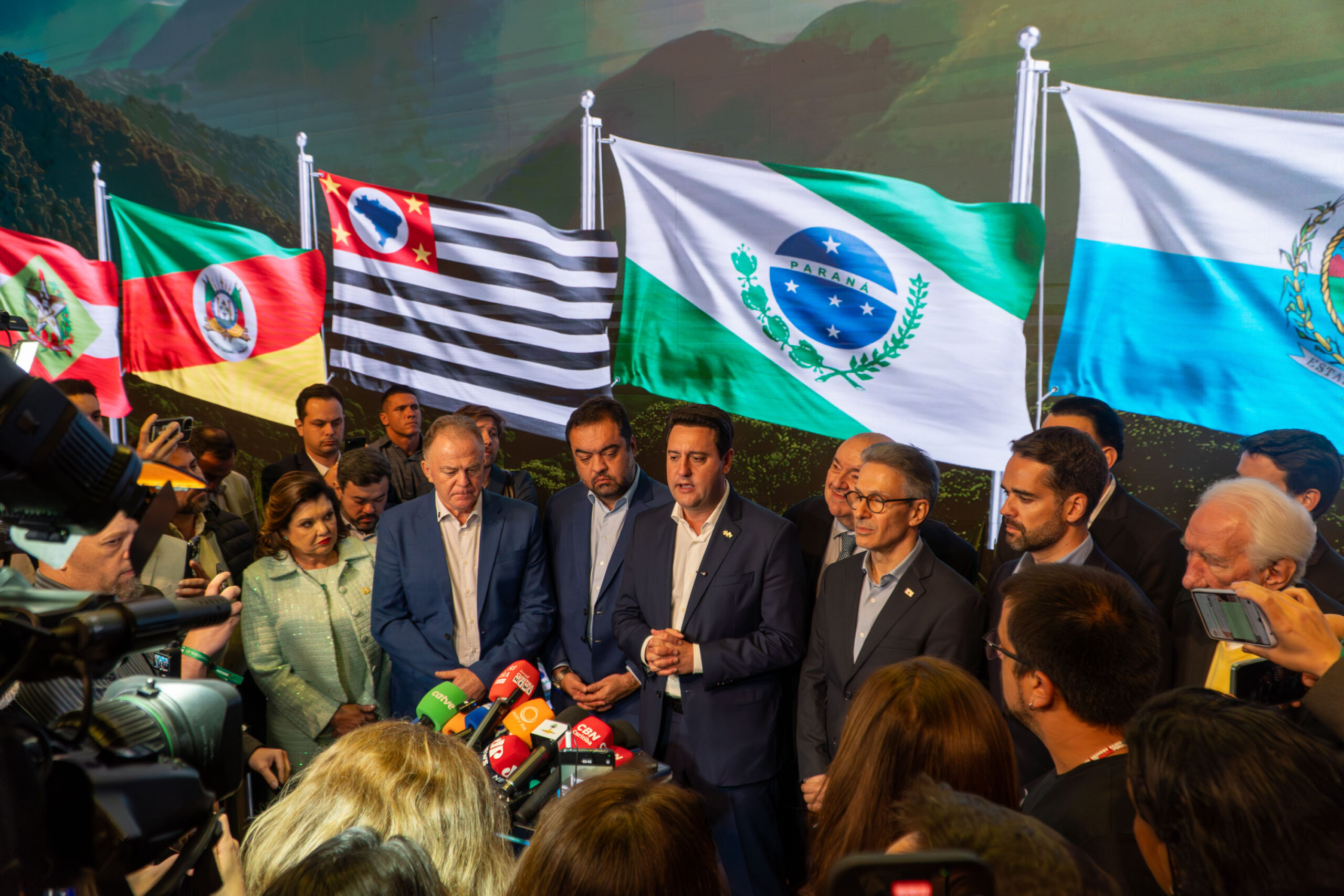 Mata Atlântica é o principal bioma que une os governadores dos estados do Sul e Sudeste.