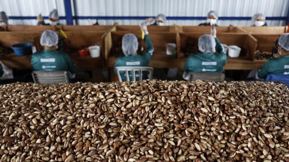 Governo libera de licitação alimentos de produtores afetados por tarifaço de Trump