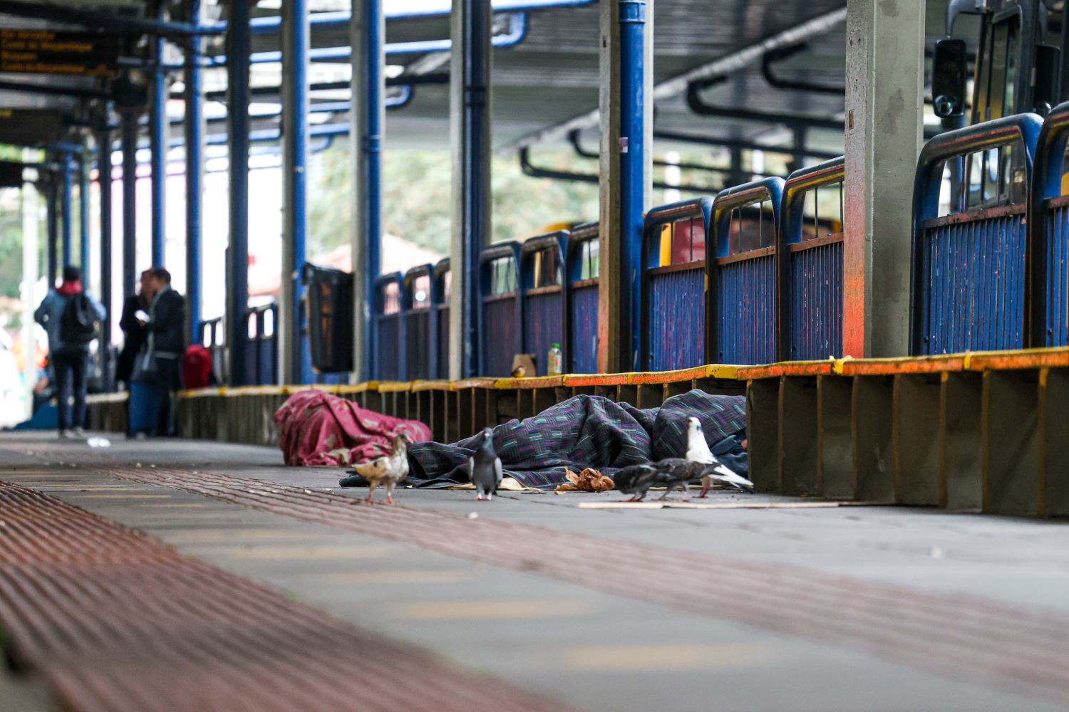 Municípios de Santa Catarina aderem à internação involuntária como forma de resgatar a vida de dependentes químicos.
