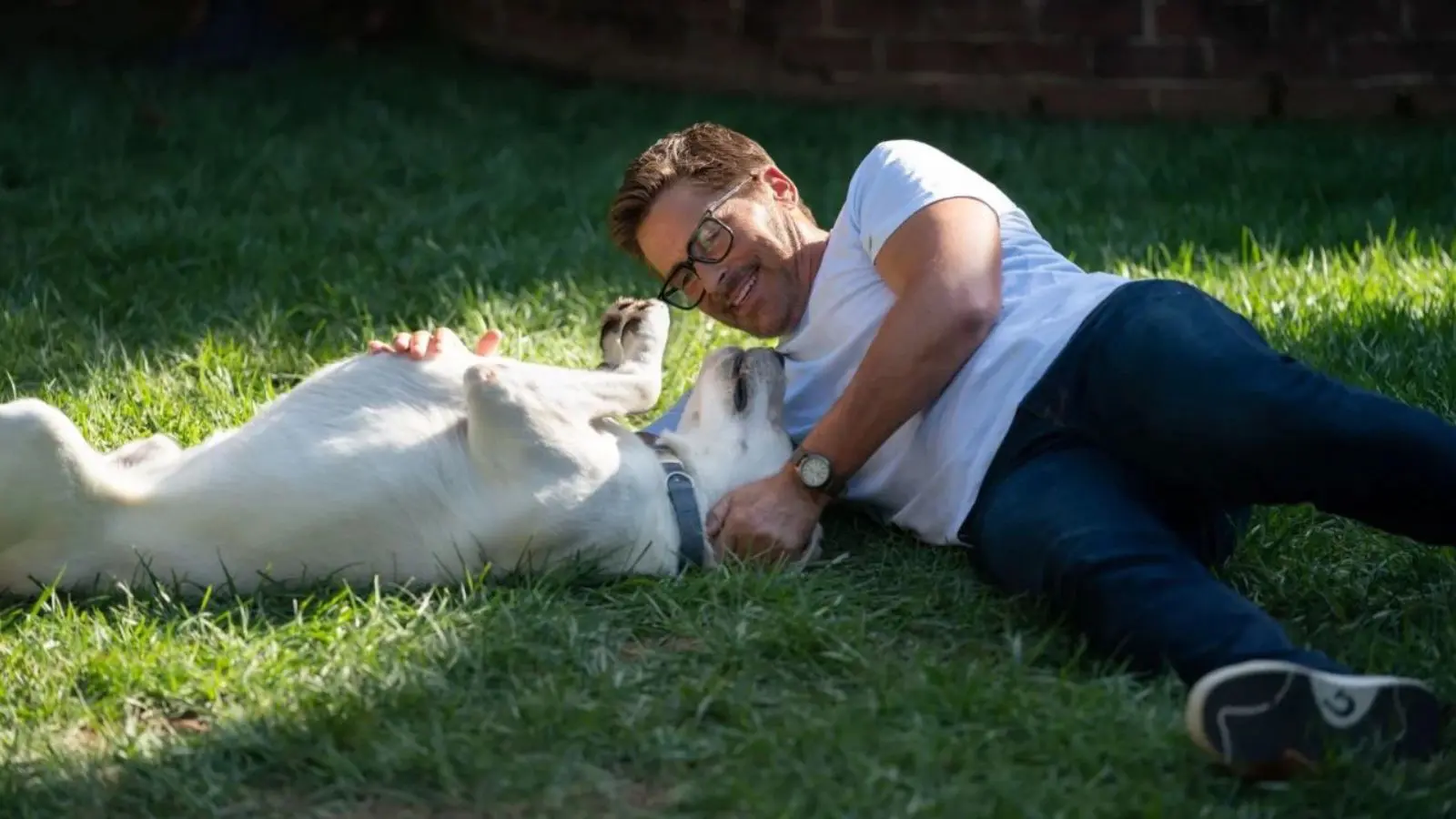 Rob Lowe é o astro em filme de cachorro que some em uma caminhada