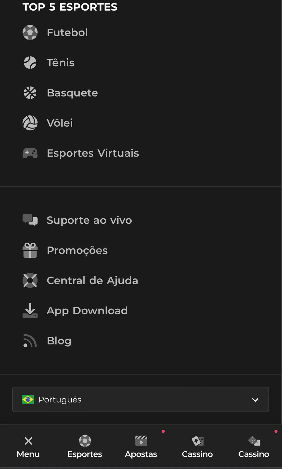 Exemplo de interface numa plataforma que mais paga